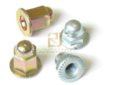 DIN1587 porcas de bolota hexagonal de titânio