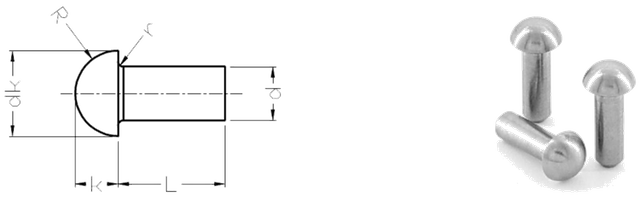 Rebites de cabeça redonda de titânio